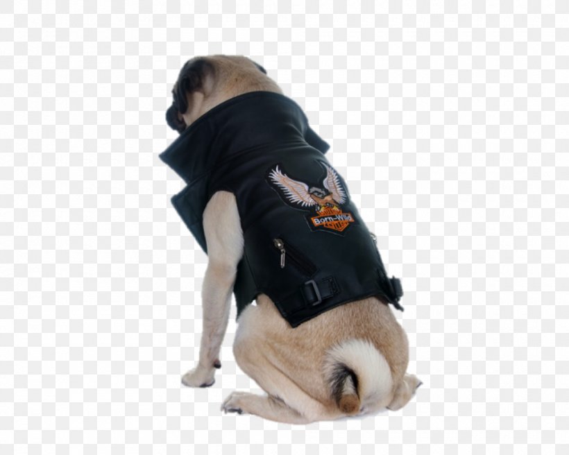 Dog Breed Pug Clothing Waistcoat Costume, PNG, 960x768px, Dog Breed, Carnivoran, Clothing, Clothing Accessories, Costume Download Free