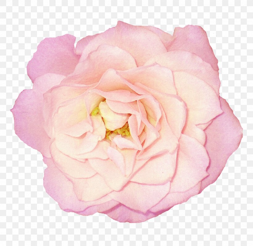 Garden Roses Flower Clip Art Floral Design, PNG, 2064x2008px, Rose, Artificial Flower, Cut Flowers, Floral Design, Floribunda Download Free