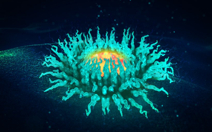 Sea Anemone Dribbble Desktop Wallpaper, PNG, 2880x1800px, Sea Anemone, Anemone, Biology, Darkness, Dribbble Download Free
