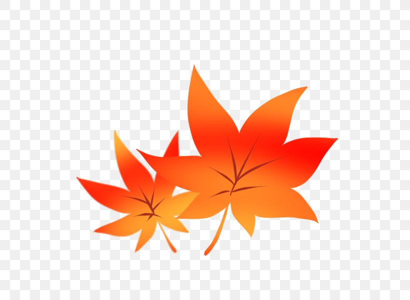 Autumn Leaf Color Wii U Tourism Maidenhair Tree, PNG, 600x600px, Autumn Leaf Color, Autumn, Flower, Flowering Plant, Japan Download Free