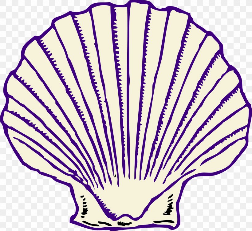 Clip Art Clam Seashell Vector Graphics Oyster, PNG, 1280x1172px, Clam, Area, Artwork, Conch, Drawing Download Free