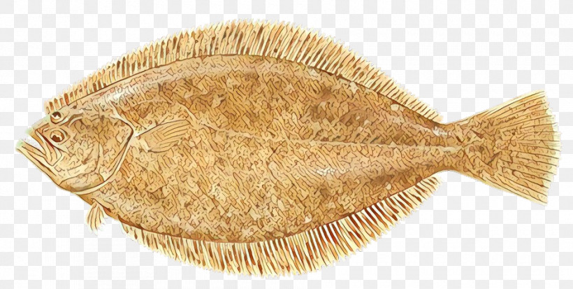 Flatfish Sole Fish Fish Flounder, PNG, 940x474px, Flatfish, Fish, Flounder, Sole Download Free