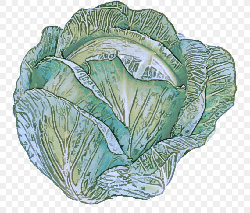 Leaf Vegetable Leaf Spring Greens Vegetable Tableware, PNG, 739x700px, Leaf Vegetable, Biology, Leaf, Plant, Plant Structure Download Free