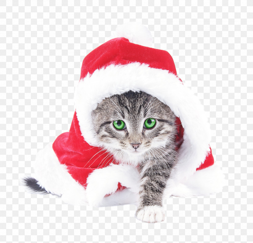 Santa Claus, PNG, 2436x2334px, Cat, Christmas, Kitten, Santa Claus, Small To Mediumsized Cats Download Free