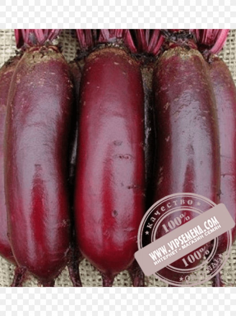 Beetroot Common Beet Vegetable Heirloom Plant, PNG, 1000x1340px, Beetroot, Bean, Beet, Bologna Sausage, Cervelat Download Free