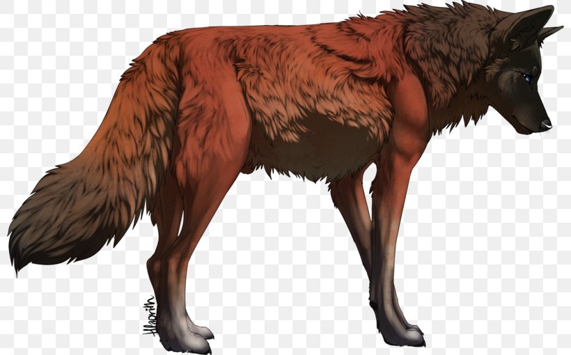 Dog Red Wolf Basior Pack Dhole, PNG, 800x510px, Dog, Art, Basior, Carnivoran, Dhole Download Free