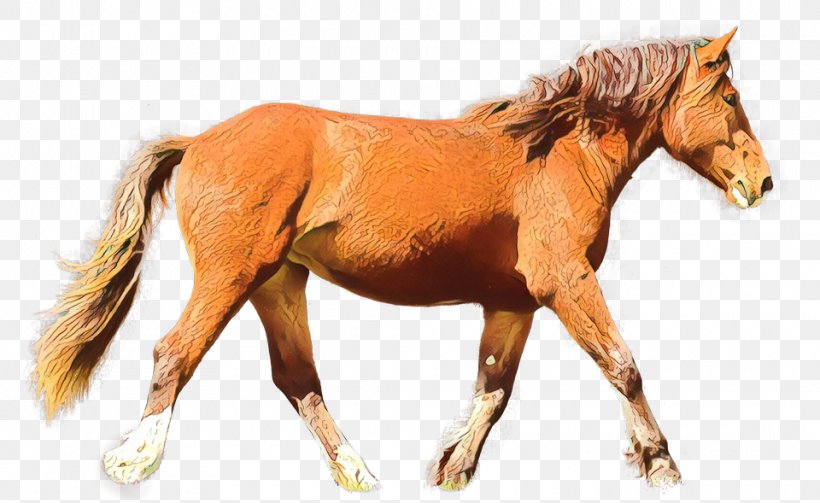 Horse Sorrel Animal Figure Mare Stallion, PNG, 960x589px, Cartoon, Animal Figure, Horse, Liver, Mane Download Free