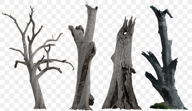 Tree Snag Clip Art, PNG, 1024x592px, Tree, Black And White, Branch, Deviantart, Fauna Download Free
