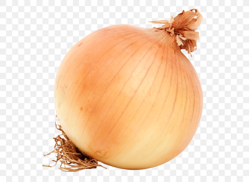 Yellow Onion Vegetable Mandi, PNG, 600x600px, Yellow Onion, Allium, Allium Fistulosum, Food, Ingredient Download Free
