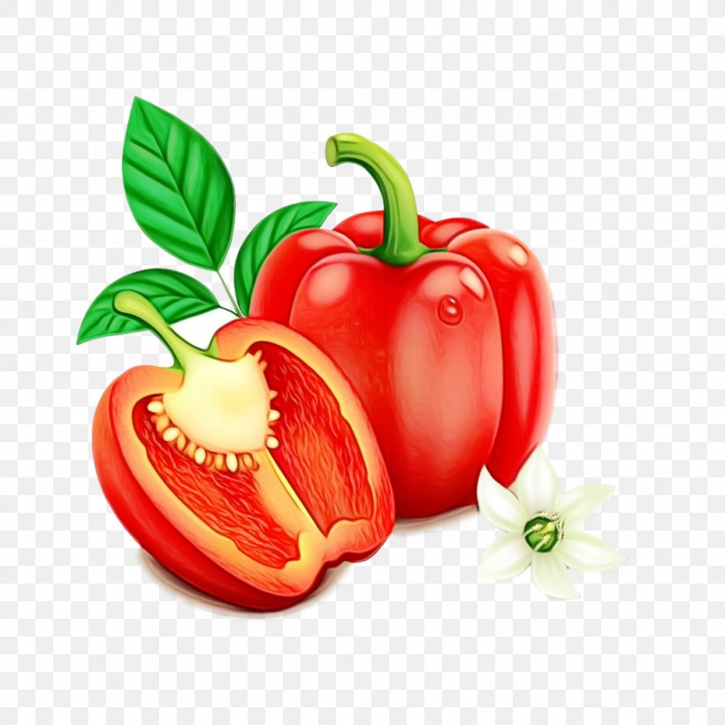 Natural Foods Vegetable Bell Pepper Pimiento Bell Peppers And Chili Peppers, PNG, 1024x1024px, Watercolor, Bell Pepper, Bell Peppers And Chili Peppers, Capsicum, Food Download Free