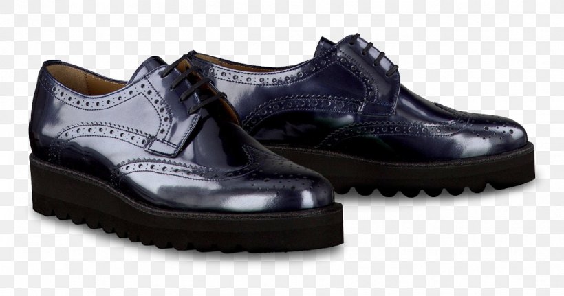 Schnürschuh Shoe Blue Hiking Boot Gore-Tex, PNG, 1133x596px, Shoe, Adidas, Ballet Flat, Black, Blue Download Free