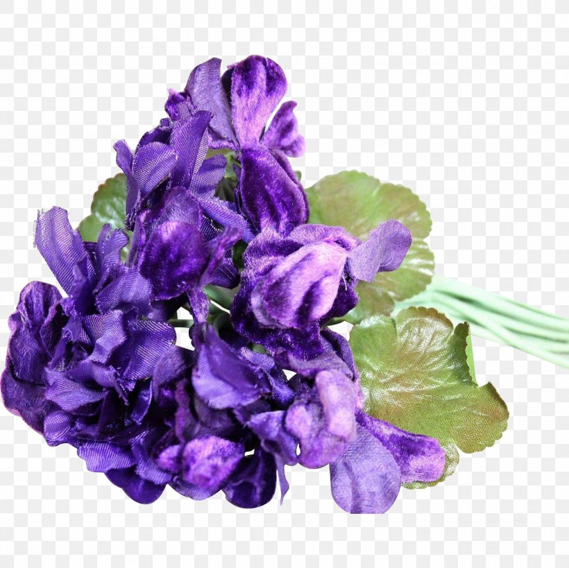 Cut Flowers Violet Petal Corsage, PNG, 1562x1562px, Cut Flowers, Anemone, Blue, Corsage, Doll Download Free