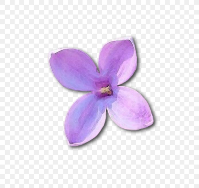 Lilac Violet Clip Art, PNG, 800x777px, Lilac, Baku Flower Festival, Flower, Liveinternet, Moth Orchid Download Free