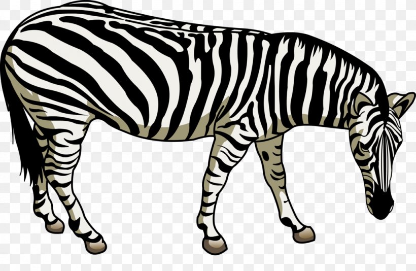 Quagga Horse Zebra, PNG, 1024x668px, Quagga, Art, Black And White, Designer, Fauna Download Free