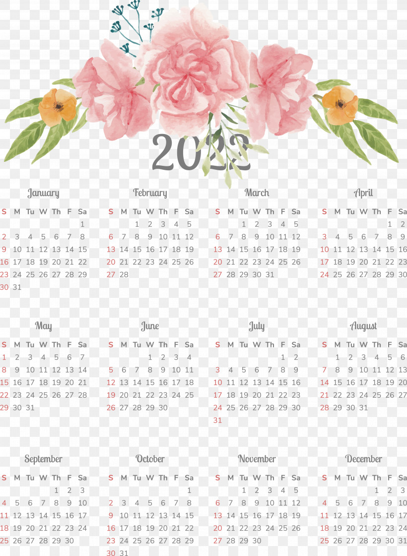 Floral Design, PNG, 3768x5151px, Floral Design, Biology, Calendar, Petal, Plant Download Free