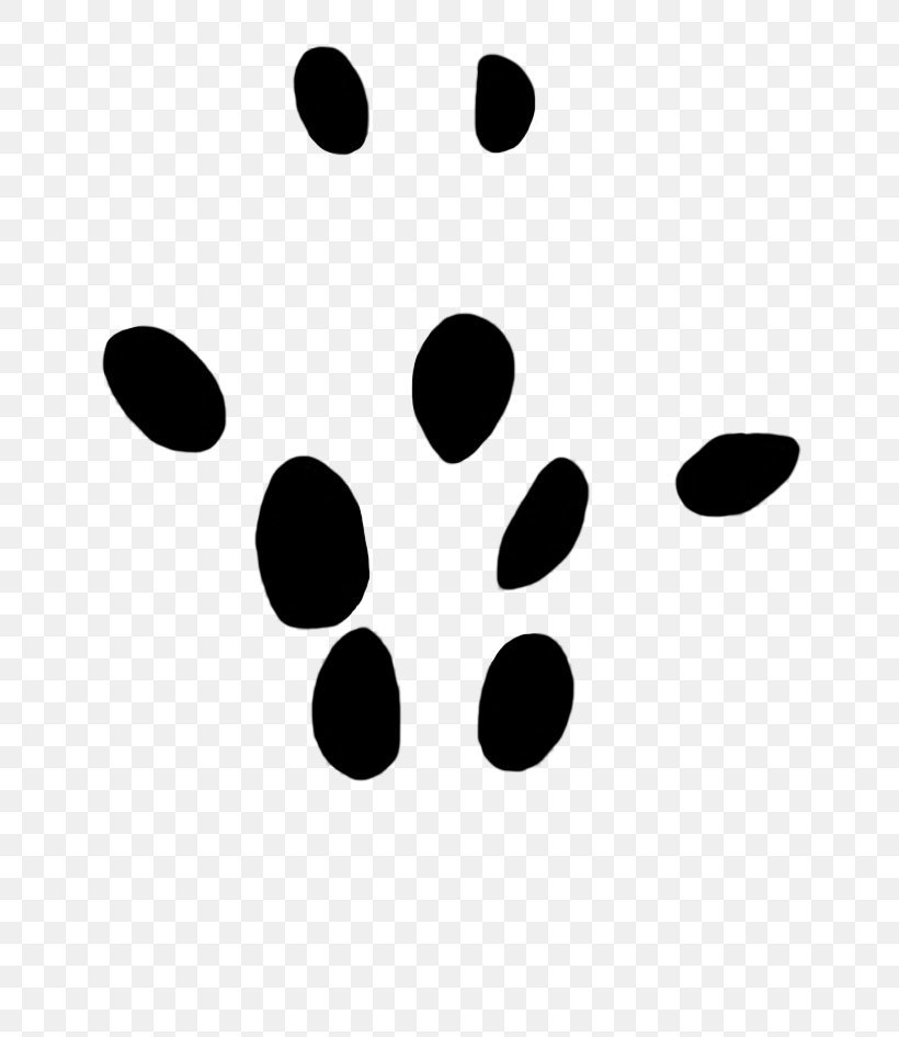 Paw Tiger Dog Moles Clip Art, PNG, 677x945px, Paw, Animal Track, Black, Black And White, Dog Download Free