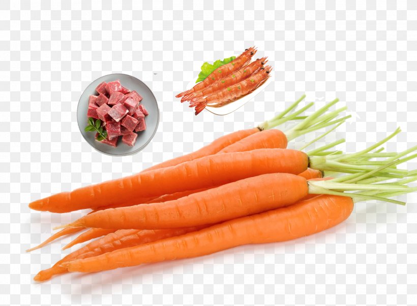 Carrot Cake Daucus Vegetable Orange, PNG, 2480x1825px, Carrot Cake, Apiaceae, Baby Carrot, Carrot, Carrot And Stick Download Free