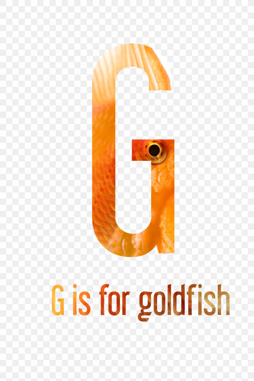 Logo Font, PNG, 2009x3010px, Logo, Orange, Text Download Free