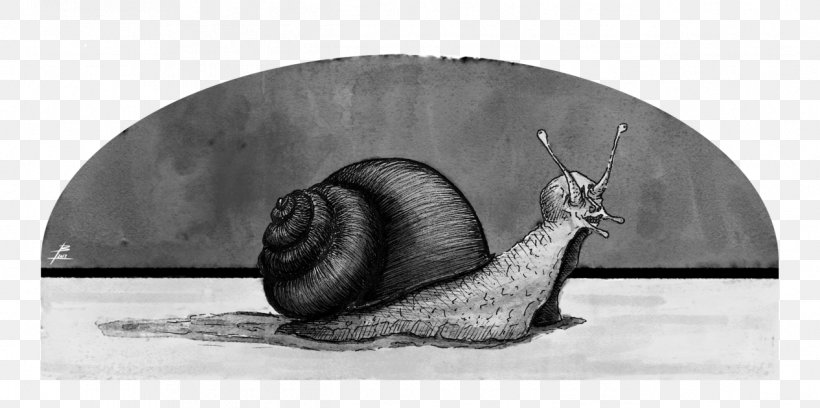 Snail Uzumaki Sketch Horror Comics Slug, PNG, 1266x631px, Snail, Artwork, Black And White, Comics, Deviantart Download Free