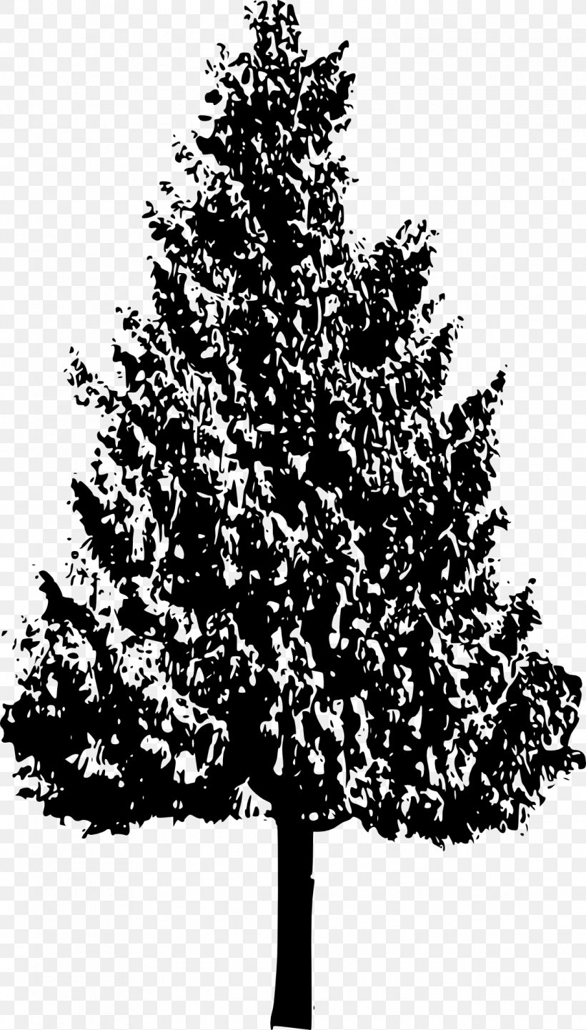 Tree Branch Silhouette Woody Plant Oak, PNG, 1138x2000px, Tree, Black And White, Branch, Christmas Decoration, Christmas Tree Download Free