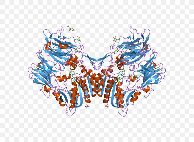 Dipeptidyl Peptidase-4 Inhibitor Enzyme Inhibitor Protease Protein, PNG, 800x600px, Watercolor, Cartoon, Flower, Frame, Heart Download Free