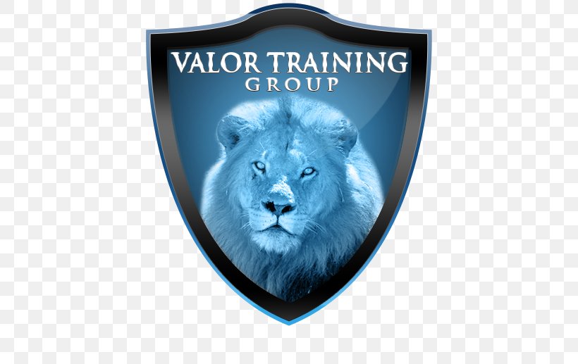 Valor Training Group Professional BALOO Training, PNG, 517x517px, Training, Big Cats, Carnivoran, Cat Like Mammal, Exercise Download Free