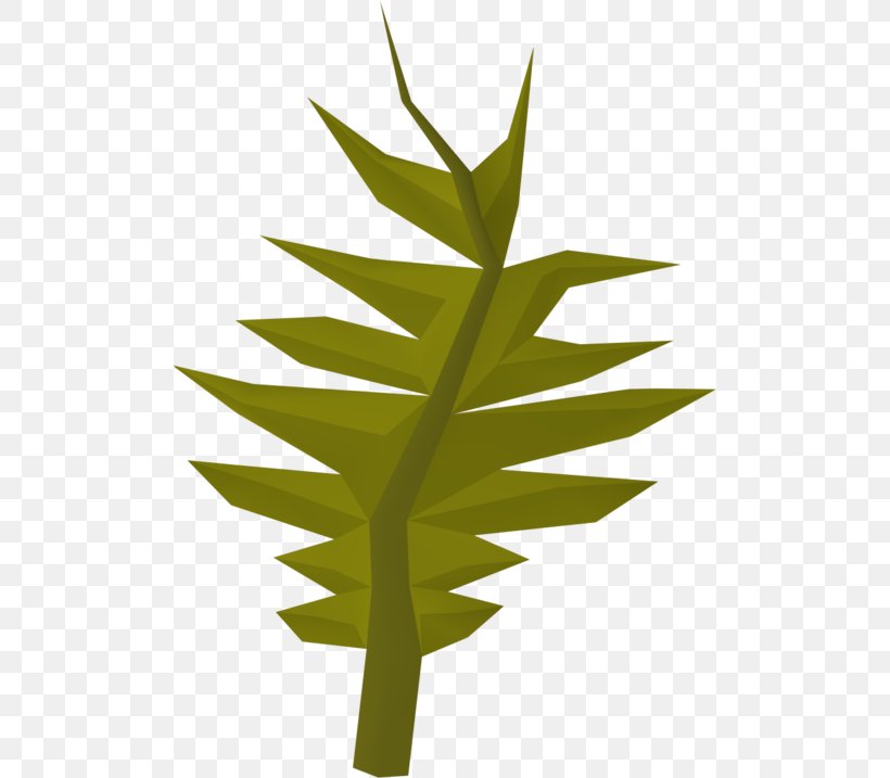 Old School RuneScape Wikia Plant, PNG, 500x717px, Runescape, Arecaceae, Arecales, Grass, Grass Family Download Free