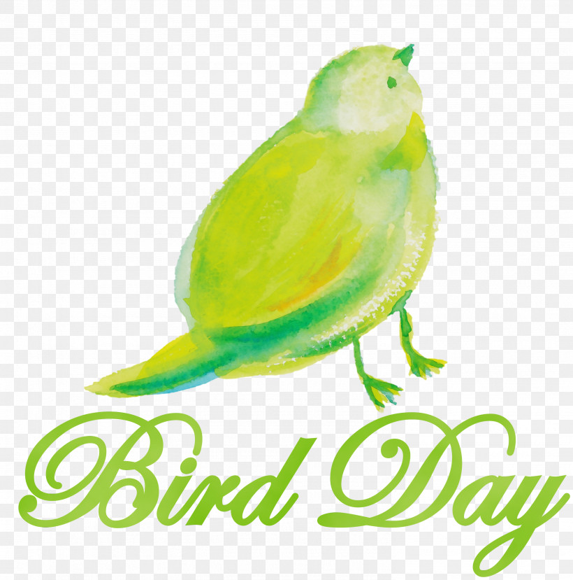 Vila Bali Kaya Tuban Parakeet Beak Tuban Sub-district Biology, PNG, 2966x3000px, Bird Day, Beak, Biology, National Bird Day, Paint Download Free