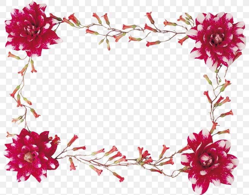 Floral Design PhotoScape GIMP Flower, PNG, 800x644px, Floral Design, Blossom, Branch, Chrysanths, Cut Flowers Download Free