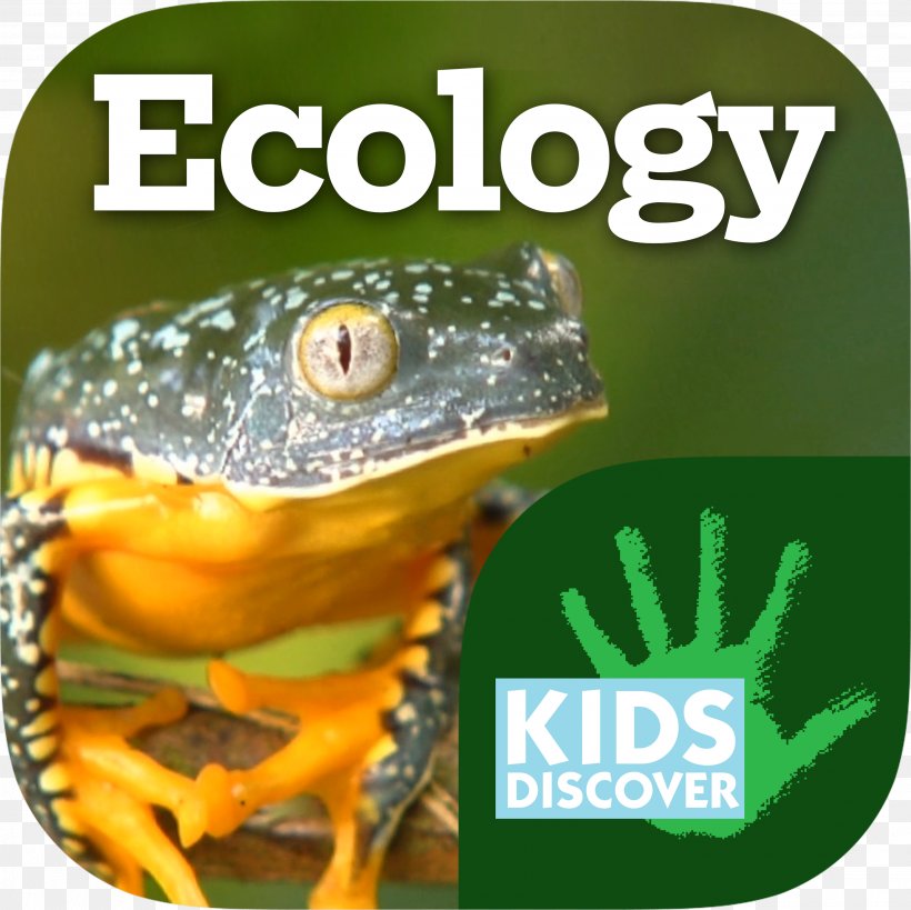 Kids Discover Ecology Child Natural Environment Information, PNG, 2826x2826px, Kids Discover, Amphibian, Book, Child, Ecology Download Free
