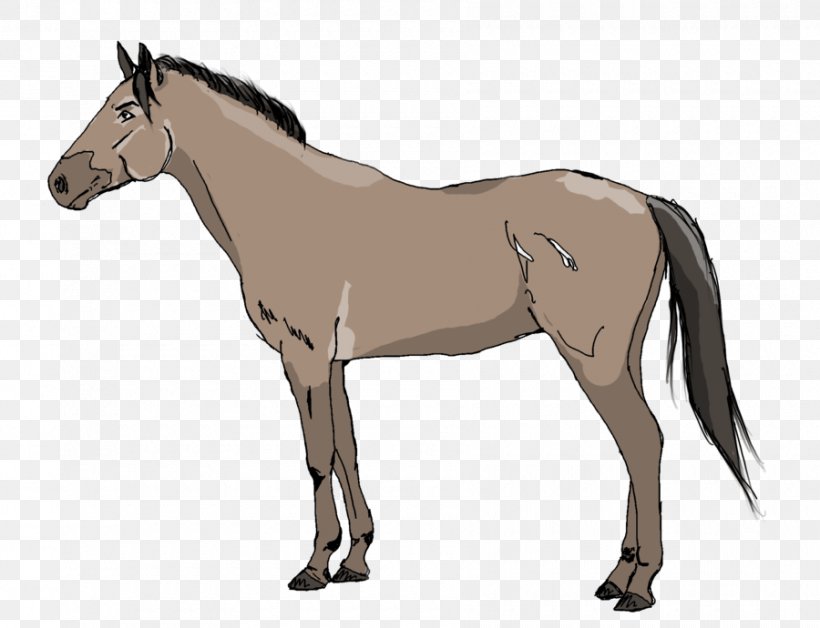 Mule Pony Foal Mustang Stallion, PNG, 900x690px, Mule, Animal Figure, Bridle, Colt, Donkey Download Free