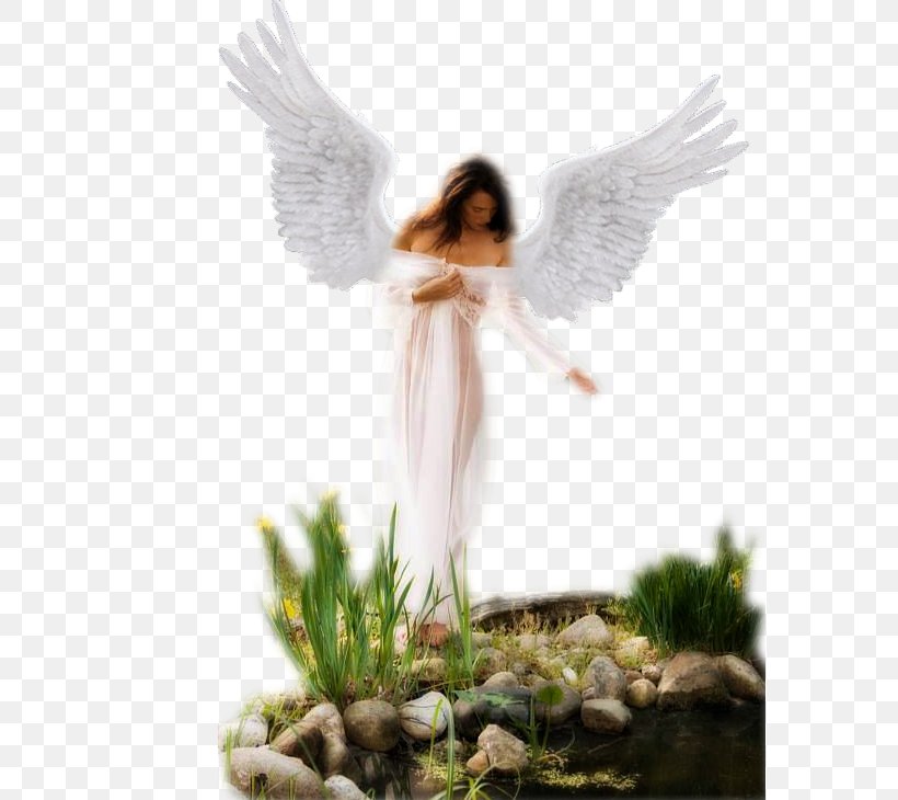 Angels White Angel Guardian Angel - PNG - Download Free.
