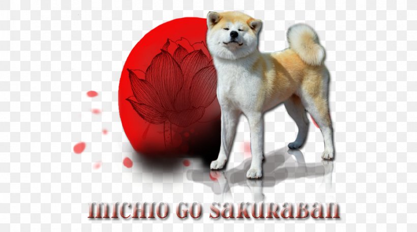 Dog Breed Shiba Inu Puppy Love Akita, PNG, 933x520px, Dog Breed, Akita, Akita Inu, Breed, Carnivoran Download Free
