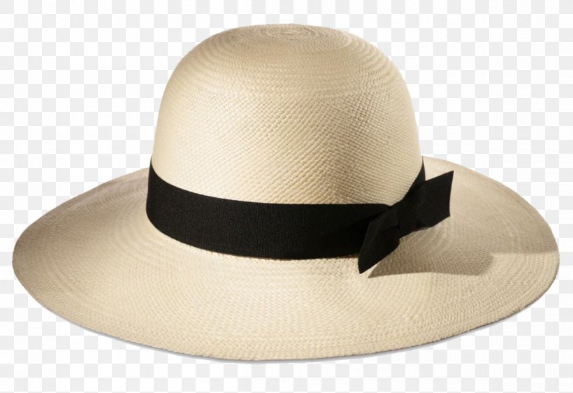 Fedora Sun Hat The Pain Companion: Everyday Wisdom For Living With And Moving Beyond Chronic Pain Cap, PNG, 1200x823px, Fedora, Cap, Cowboy Hat, Fashion Accessory, Hat Download Free