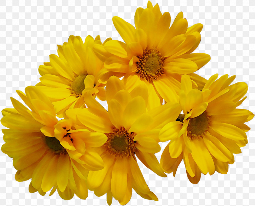Floral Design, PNG, 1800x1454px, Watercolor, Artificial Flower, Chrysanthemum, Cut Flowers, Floral Design Download Free