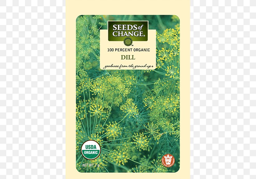 Herbalism Dill Organic Food, PNG, 573x573px, Herb, Certification, Dill, Flora, Grass Download Free