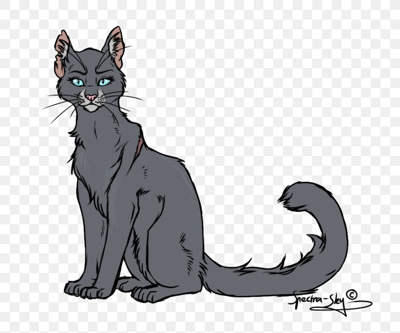 Kitten Cartoon, PNG, 800x683px, Whiskers, Animation, Black Cat, Cartoon, Cat Download Free