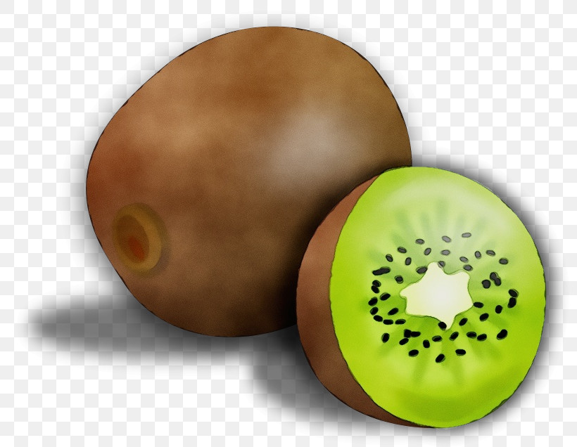 Kiwifruit Fruit Plant, PNG, 800x636px, Watercolor, Fruit, Kiwifruit, Paint, Plant Download Free