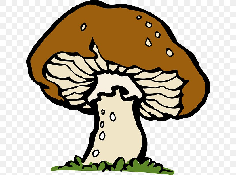 Mushroom Clip Art, PNG, 640x607px, Mushroom, Artwork, Beak, Drawing, Edible Mushroom Download Free
