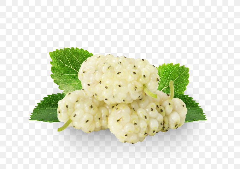 Organic Food White Mulberry Food Drying Extract, PNG, 788x577px, Organic Food, Berry, Black Mulberry, Dried Fruit, Extract Download Free