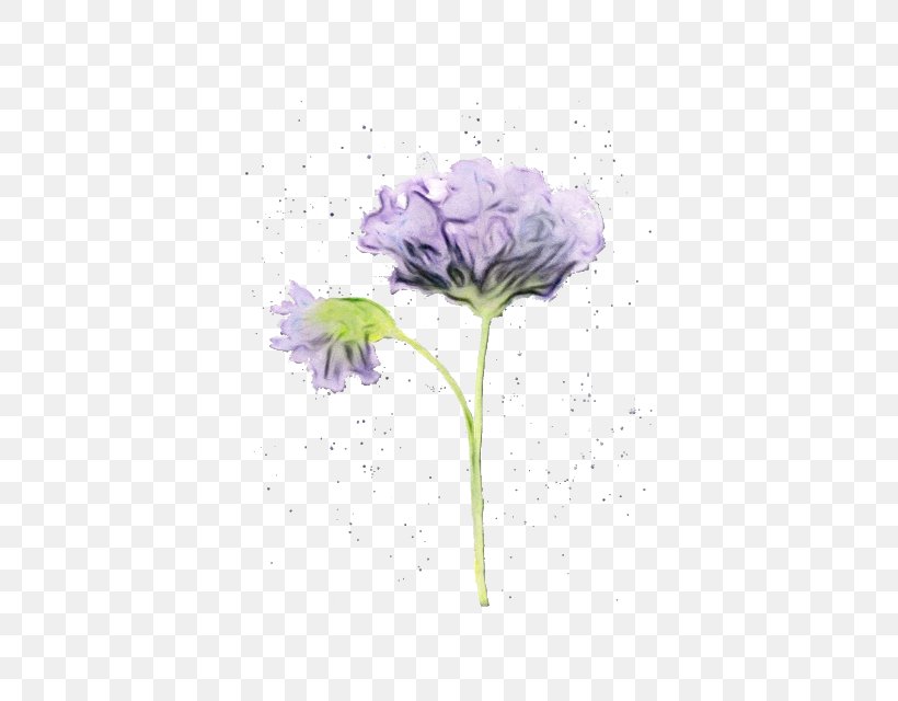 Purple Watercolor Flower, PNG, 512x640px, Watercolor, Bellflower Family, Cut Flowers, Flower, Herbaceous Plant Download Free