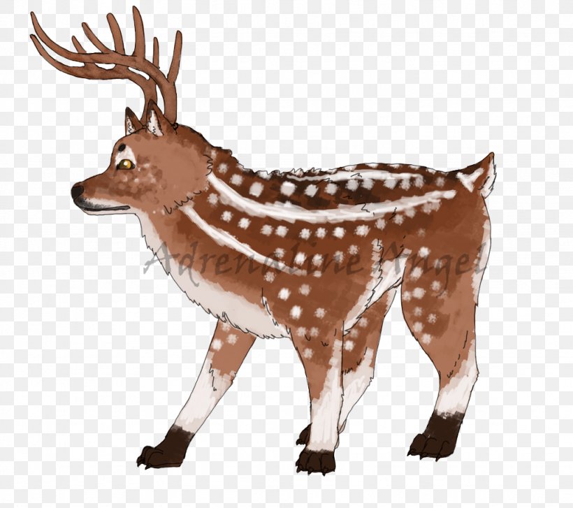 Reindeer White-tailed Deer Elk Musk Deers, PNG, 1024x909px, Reindeer, Animal, Animal Figure, Antler, Deer Download Free