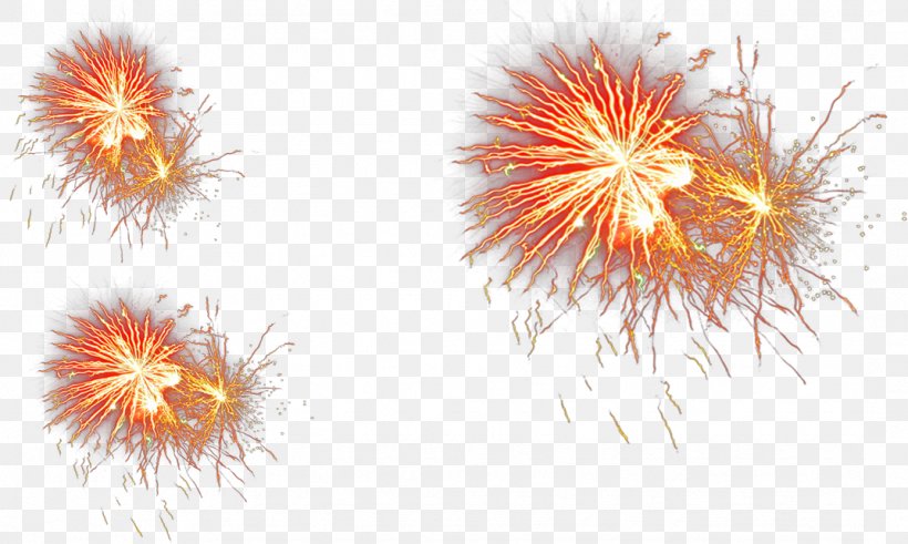 2016 San Pablito Market Fireworks Explosion, PNG, 1074x644px, Fireworks, Computer, Explosion, Fire, Flower Download Free
