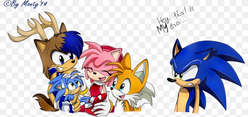Amy Rose Mario & Sonic At The Olympic Games Shadow The Hedgehog Sonic The Hedgehog Sonic Adventure, PNG, 800x387px, Watercolor, Cartoon, Flower, Frame, Heart Download Free