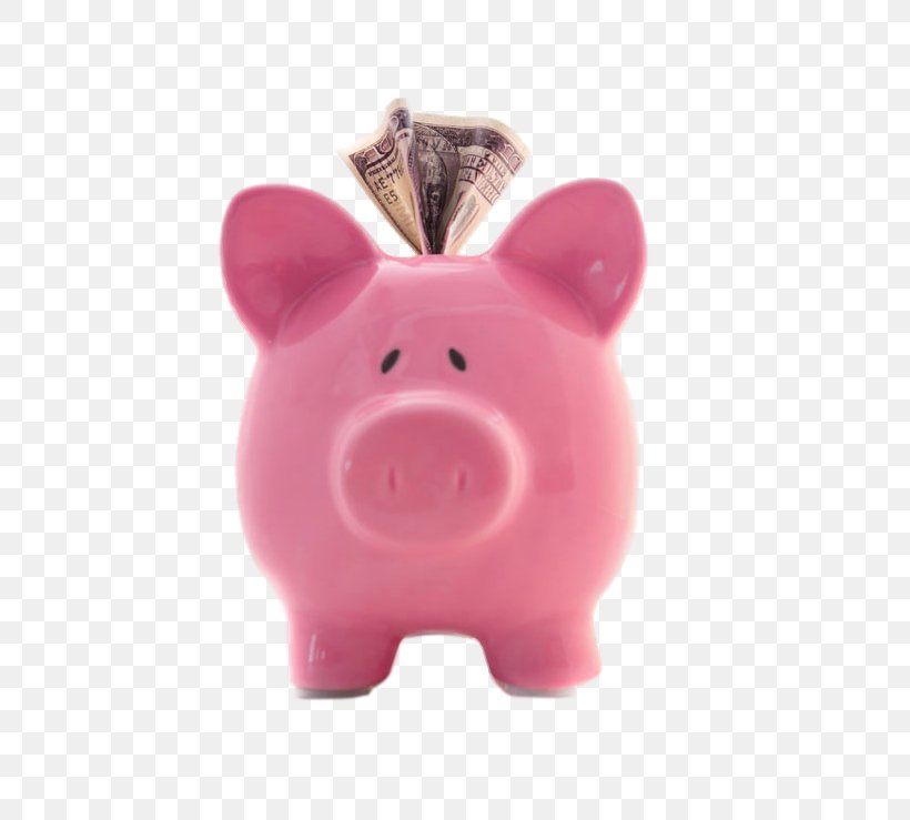 Domestic Pig Piggy Bank Pink Money, PNG, 559x739px, Domestic Pig, Bank, Banknote, Child, Coin Download Free