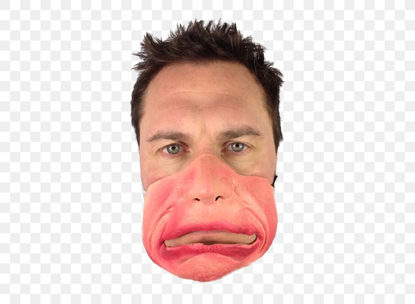 Mask Snout Face Smile Mouth, PNG, 479x600px, Mask, Cheek, Chin, Close Up, Costume Download Free