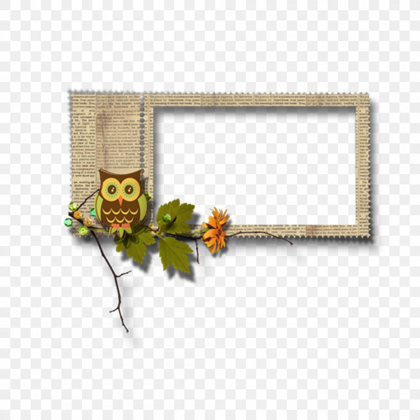 Owl Download, PNG, 1000x1000px, Owl, Border, Highdefinition Television, Picture Frame, Pixel Download Free