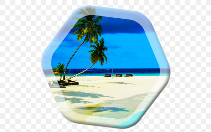 Palm Tree Background, PNG, 512x512px, Maldives, Dishware, Hotel, Job, Linkedin Download Free