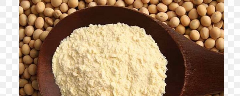Soy Milk Soy Protein Soybean, PNG, 1200x480px, Soy Milk, Bodybuilding Supplement, Casein, Cereal, Cereal Germ Download Free