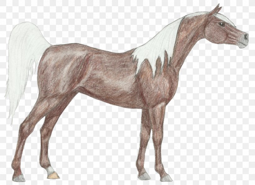 Stallion Foal Mustang Colt Pony, PNG, 900x654px, Stallion, Animal, Animal Figure, Colt, Draver Download Free